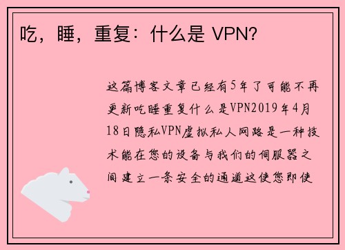 吃，睡，重复：什么是 VPN？